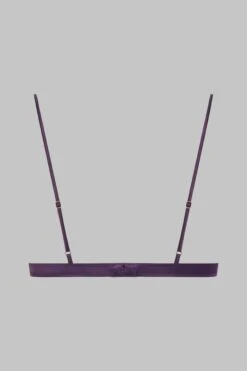 Maison Close Soutien-gorge Triangle - Villa Satine -Séduction Raffinée Lingerie 561097 ghost 2