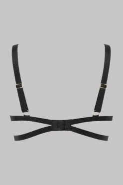 Maison Close Soutien-gorge Push-up - Tapage Nocturne -Séduction Raffinée Lingerie Bra Tapage Nocturne Black 608089 4